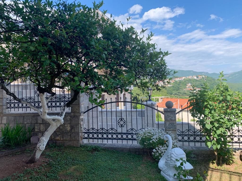 Апартаменты Guest House Lazic Херцег-Нови-20